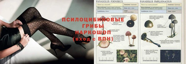 крисы Зеленокумск