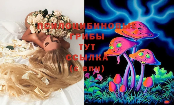 не бодяженный Зеленодольск