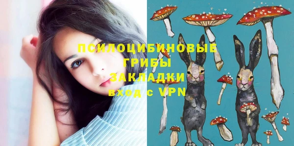 крисы Зеленокумск