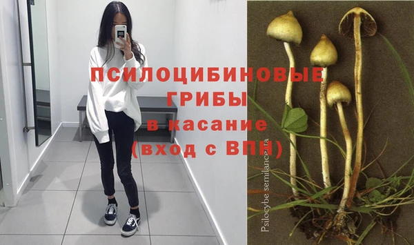 крисы Зеленокумск