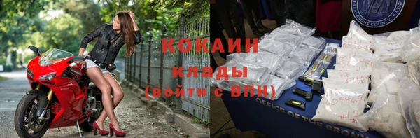 крисы Зеленокумск