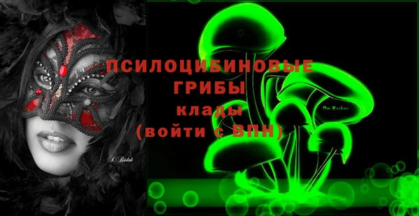 не бодяженный Зеленодольск