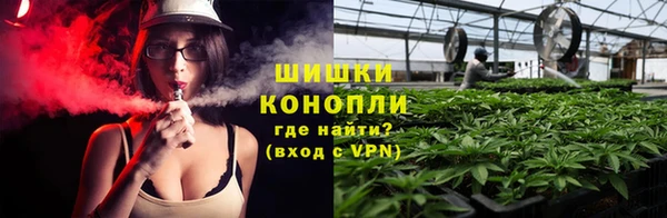 крисы Зеленокумск