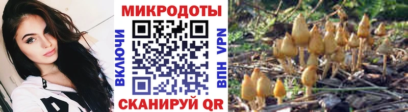 Псилоцибиновые грибы прущие грибы  Каменногорск 